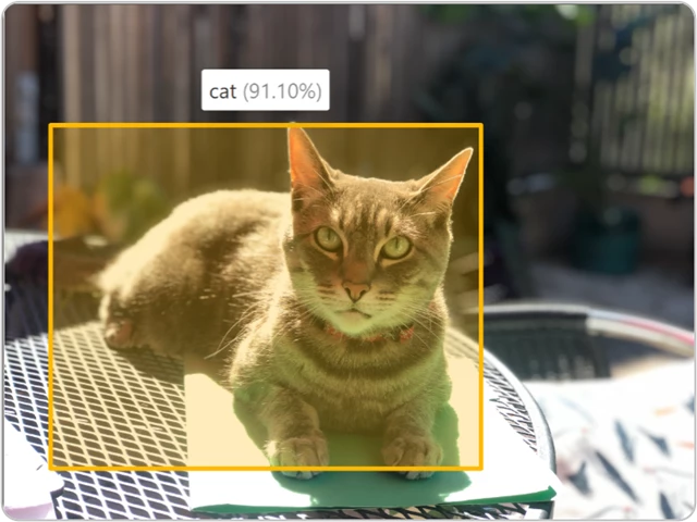 Picture of a cat. The cat is highlighted with a box to demonstrate object detection technology, and a small box next to the cat displays 